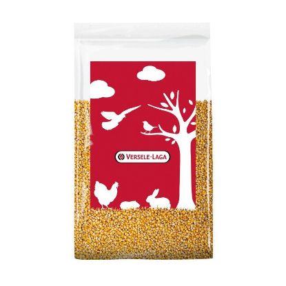 Maïs grains pour volailles – Sac 20 kg – Versele Laga
