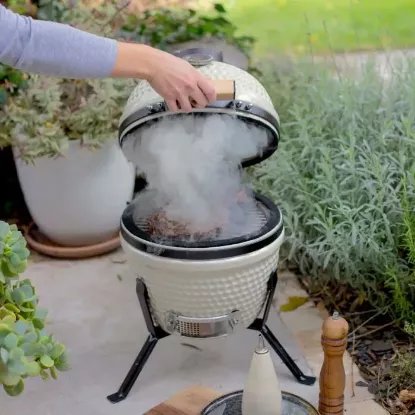 Barbecue kamado fumoir à charbon en céramique grille Ø 27 cm – Livoo DOC330 – beige et noir