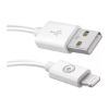 Pack Big Ben : chargeur secteur USB-A 12 W + câble Lightning MFi 1,2 m, recyclé