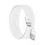 Câble USB-A vers USB-C 1,2 m Big Ben, recyclé, blanc