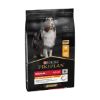 Croquettes chien adulte Purina Pro Plan Medium poulet – 7 kg