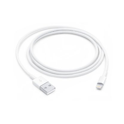 Câble Apple Lightning vers USB-A 1 m (MUQW3ZM/A)