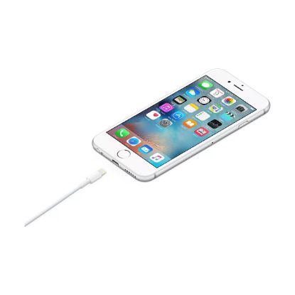 Câble Lightning vers USB-A court 0,5 m pour iPhone et iPad – Apple ME291ZM/A – blanc