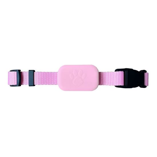 Collier réglable avec traceur pour chat et petit chien, appli iPhone – Vortex Electronics – rose