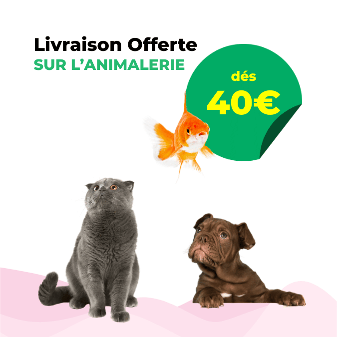 Livraison offerte dés 40€